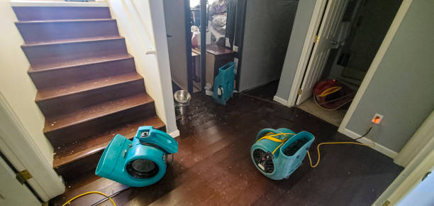 Best Basement water damage restoration  in Woodlawn, OH