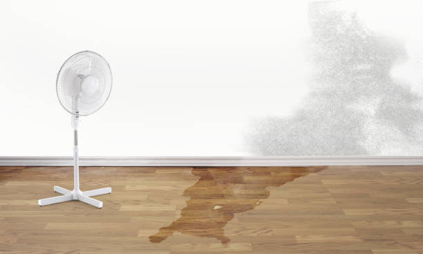 Best Residential water damage restoration  in Woodlawn, OH