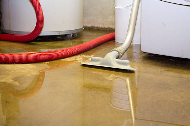 Best Emergency water extraction  in Woodlawn, OH