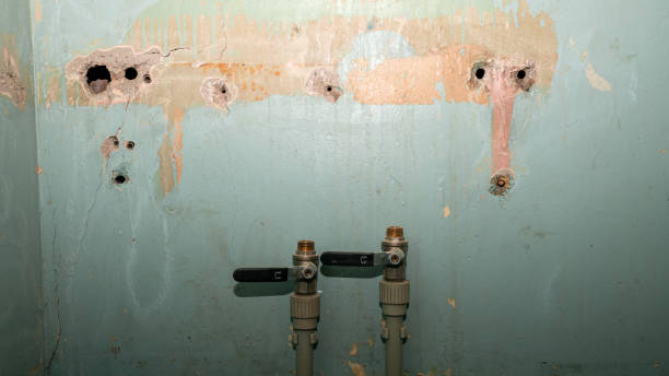 Best 24-hour water damage restoration  in Woodlawn, OH