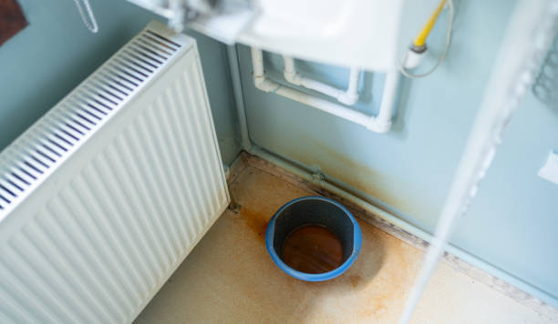 Best Carpet water damage restoration  in Woodlawn, OH