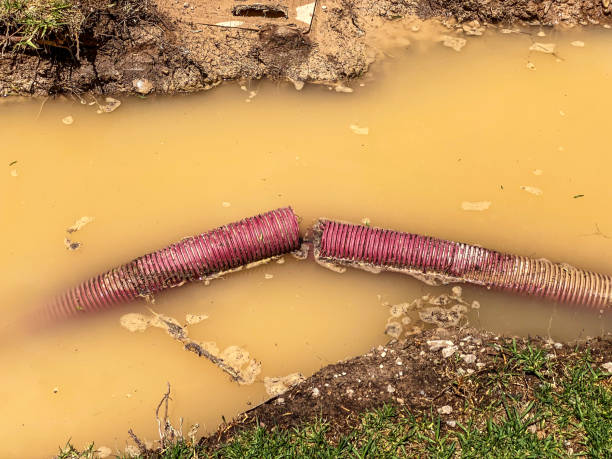 Best Water damage restoration near me  in Woodlawn, OH