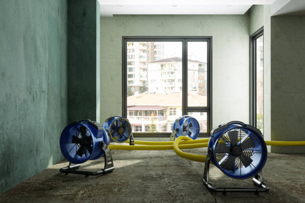 Best Commercial water damage restoration  in Woodlawn, OH